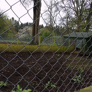Visayan warty pig holding pen and house 7.5.23