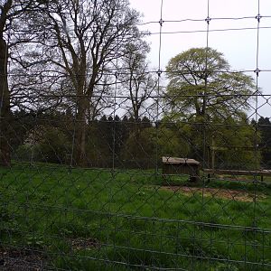Former wolf enclosure 7.5.23