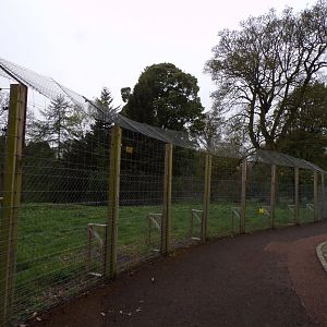 Former wolf enclosure 7.5.23