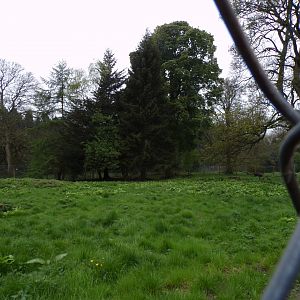 Former wolf enclosure 7.5.23