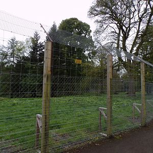 Former wolf enclosure 7.5.23