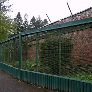Chough enclosure 7.5.23