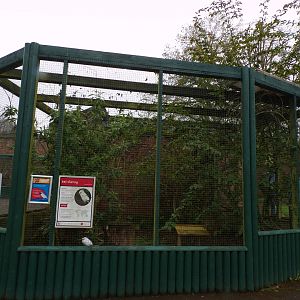 First bali starling enclosure 7.5.23