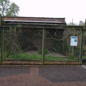 Lilac-breasted roller enclosure 7.5.23