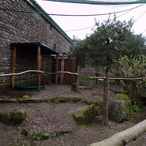 White-tailed eagle enclosure 7.5.23