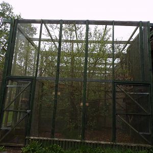 Common marmoset enclosure 7.5.23