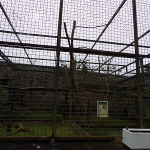 Ocelot enclosure (Formerly bear) 7.5.23