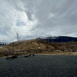 The east side of the Black Bear Exhibit