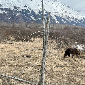 Brown Exhibit with a sense of scale