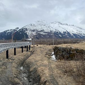 Sense of scale.  This view is just a bit to left of the previous one, the small hill would now be to your right.