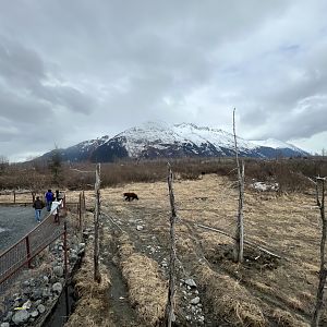 Sense of scale as we move down the boardwalk.