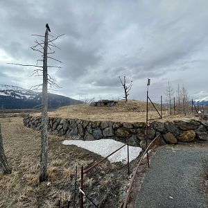 Southeast side of Black Bear Exhibit