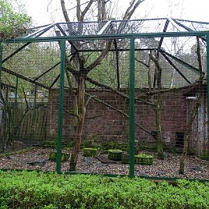 Jaguarundi enclosure (04/23)