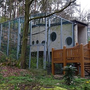 Great grey owl enclosure (04/23)