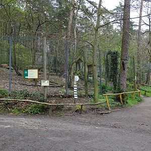 Lynx enclosure (04/2023)