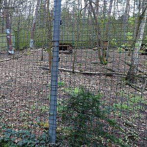 Lynx enclosure (04/2023)