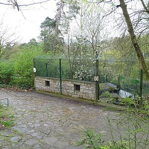 Eurasian otter enclosure (04/23)