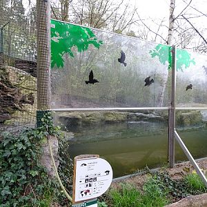 Eurasian otter enclosure (04/23)