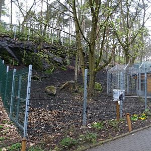 East-Causasian tur enclosure (04/23)