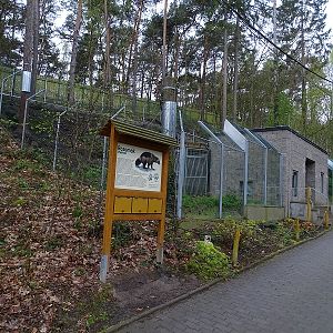 Wolverine enclosure (04/23)