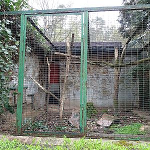 Margay enclosure  (04/23)