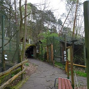 Mink, badger and squirrel enclosures  (04/23)
