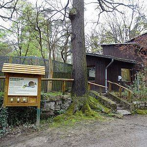Bettong + brush-tail possum enclosure (04/23)
