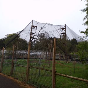Second Lar gibbon enclosure 7.5.23