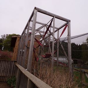 Second Lar gibbon enclosure holding area 7.5.23