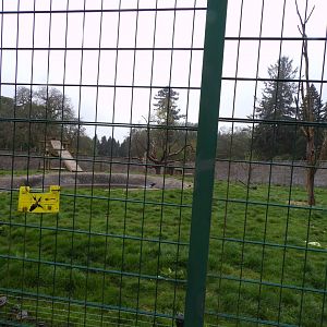 European brown bear enclosure 7.5.23