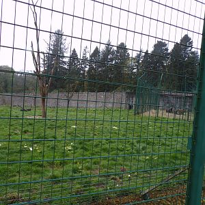 European brown bear enclosure 7.5.23