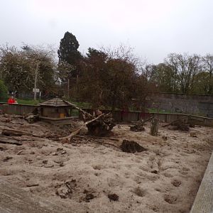 Meerkat enclosure 7.5.23