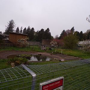 Asian short-clawed otter enclosure 7.5.23