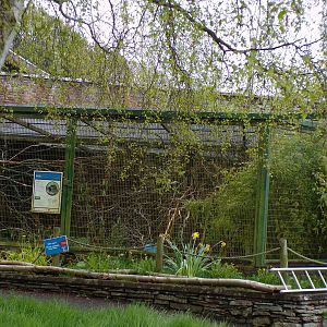 Kea enclosure 7.5.23
