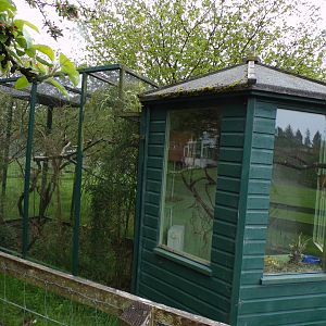 Second pygmy marmoset enclosure (inside the rhea enclosure) 7.5.23