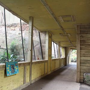 Wooden tunnel in Tropical House 6th May 2023