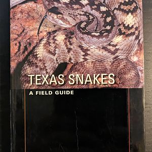 Texas Snakes: A Field Guide