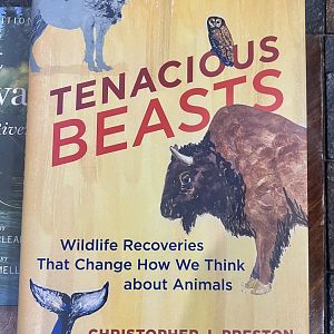 Tenacious Beasts: Wildlife Recoveries That Change How We Think About Animals