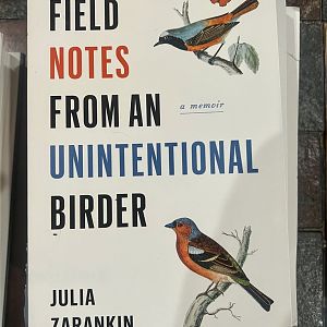 Field Notes from an Unintentional Birder