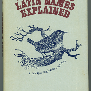 Birds – Their Latin Names Explained