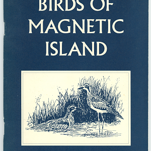 Birds of Magnetic Island