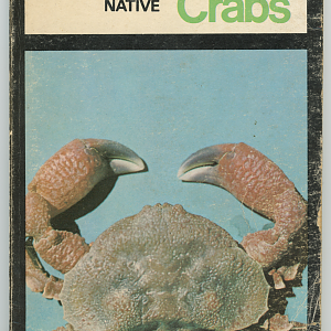 Native Crabs of New Zealand