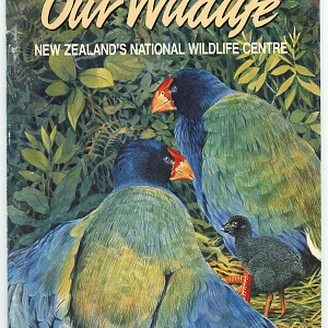 Our Wildlife: New Zealand’s National Wildlife Centre