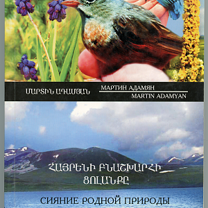 Radiance of Mother Nature