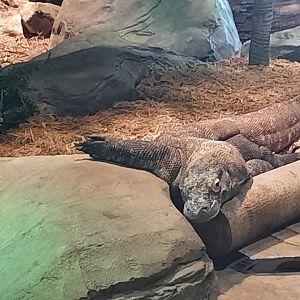 Padar how is that comfortable?