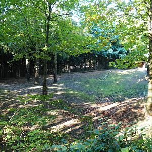 South American tapir and Capybara exhibit - Open forest section, 2022-10-09