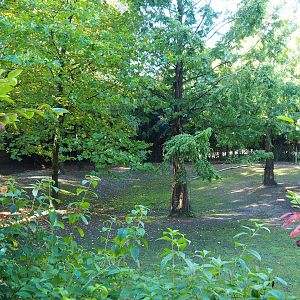 South American tapir and Capybara exhibit - Open forest section, 2022-10-09