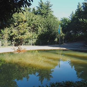 South American tapir and Capybara exhibit - Pond and beach section, 2022-10-09