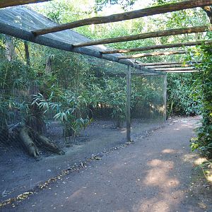 Cape Barren goose aviary (Former seriema aviary), 2022-10-09