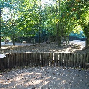 Vicuña paddock, 2022-10-09